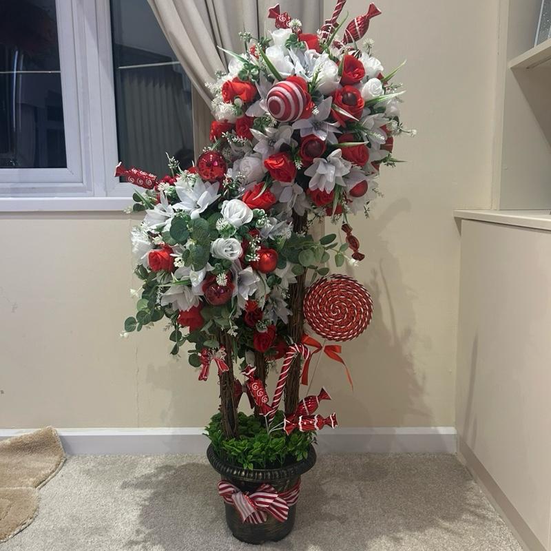 tos-no1a-i-t5fjg24jzw-no/26e94f2e4ce1482d86debe21235c01d7