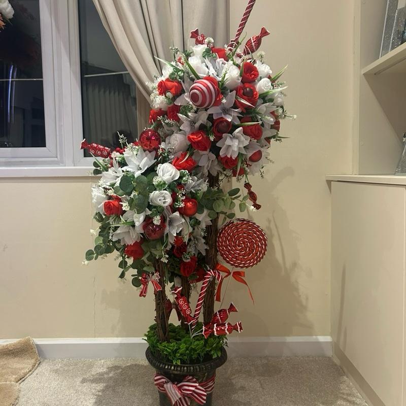 tos-no1a-i-t5fjg24jzw-no/61544639f28e4a7cb409b356c31add5e