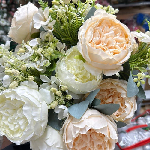 tos-no1a-i-t5fjg24jzw-no/69831031c59240a7956cda10d69dc1f4