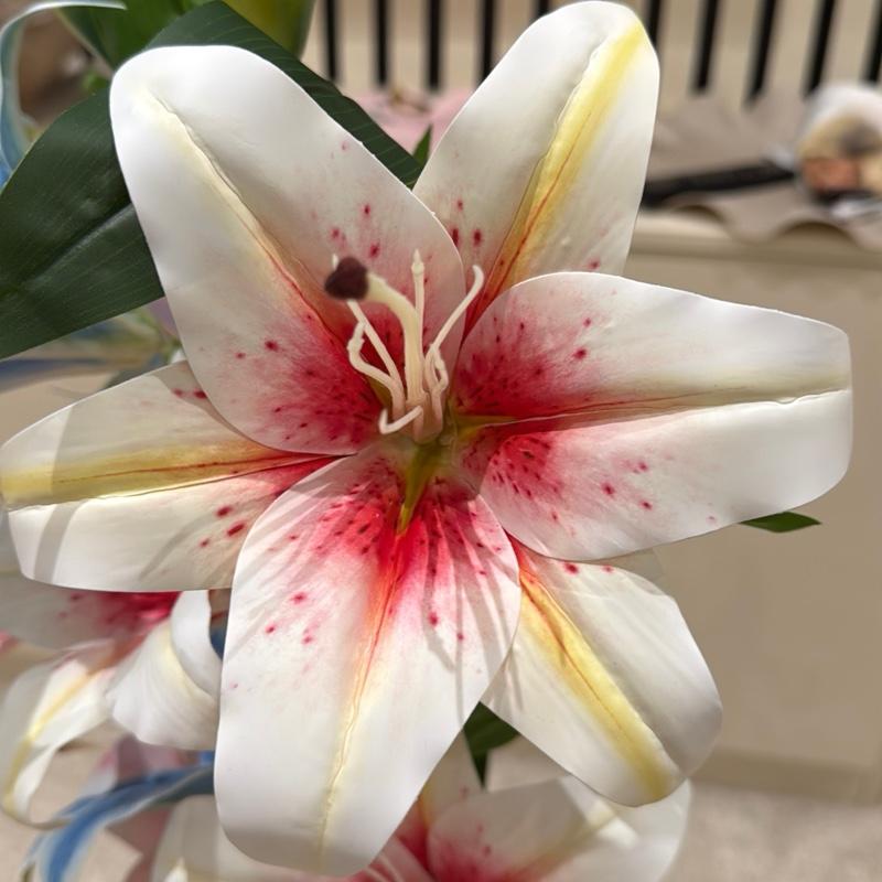 tos-no1a-i-t5fjg24jzw-no/7a3acbdc2d0c42749ff076ebd3a75f77