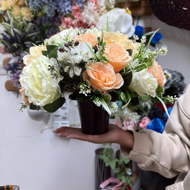 tos-no1a-i-t5fjg24jzw-no/951c224bd5bc45d3ac82dd95f459a6c6